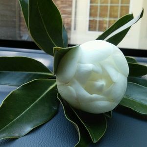 Meet your Posher, Kathryn